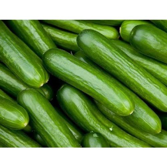 Cucumber [Khira kakdi ]